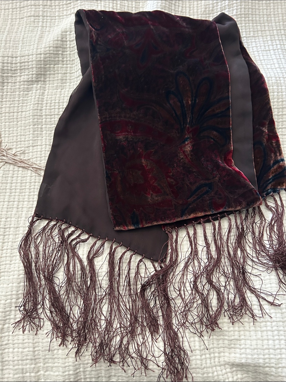 Velvet Paisley Fringe Scarf - Burgundy